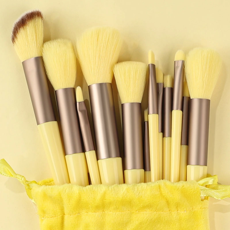 13Pcs Makeup Brushes Set
