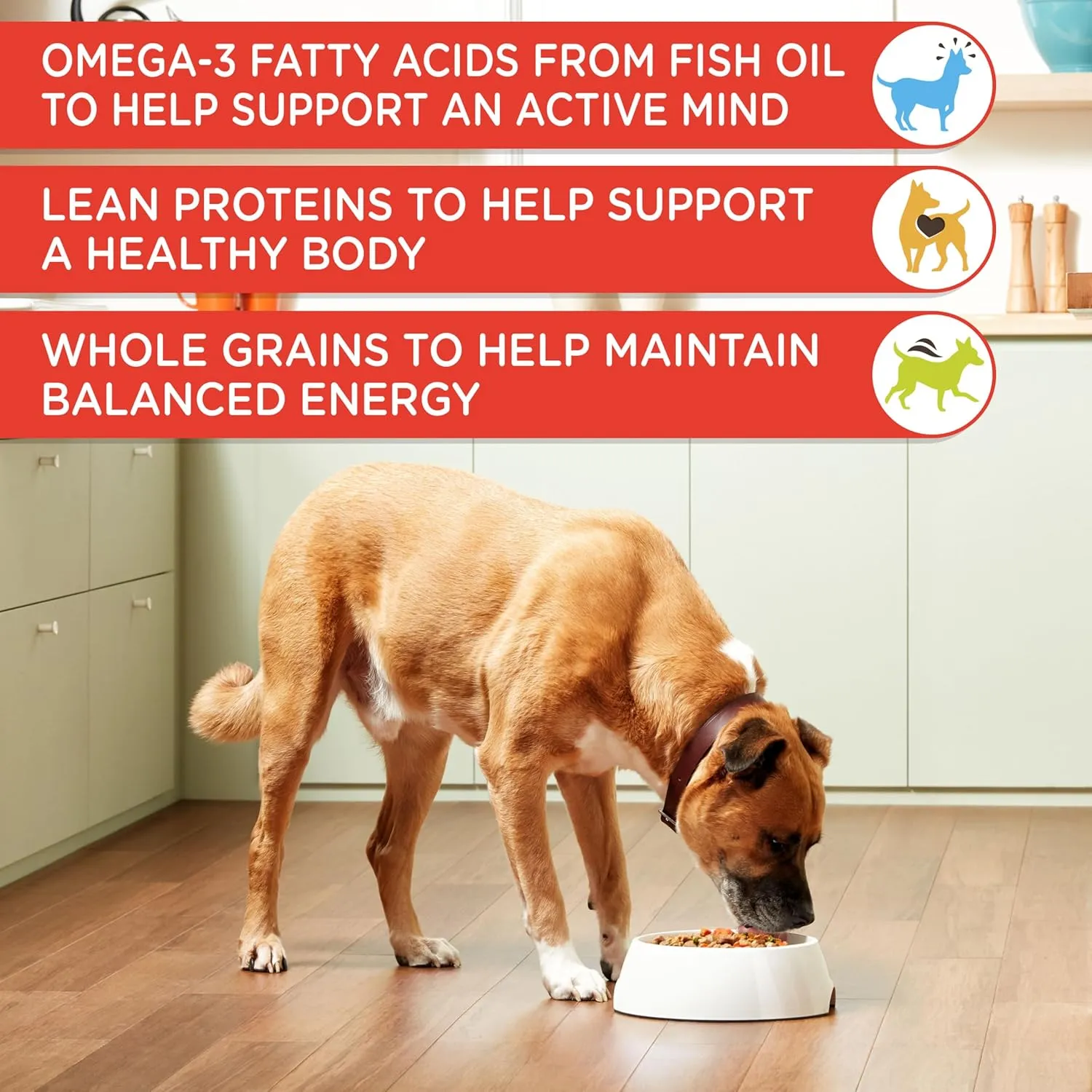 Nutrish Rachael Ray Chunks in Gravy Wet Dog Food, Real Beef & Veggies Recipe, 13 Ounce (Pack of 12)