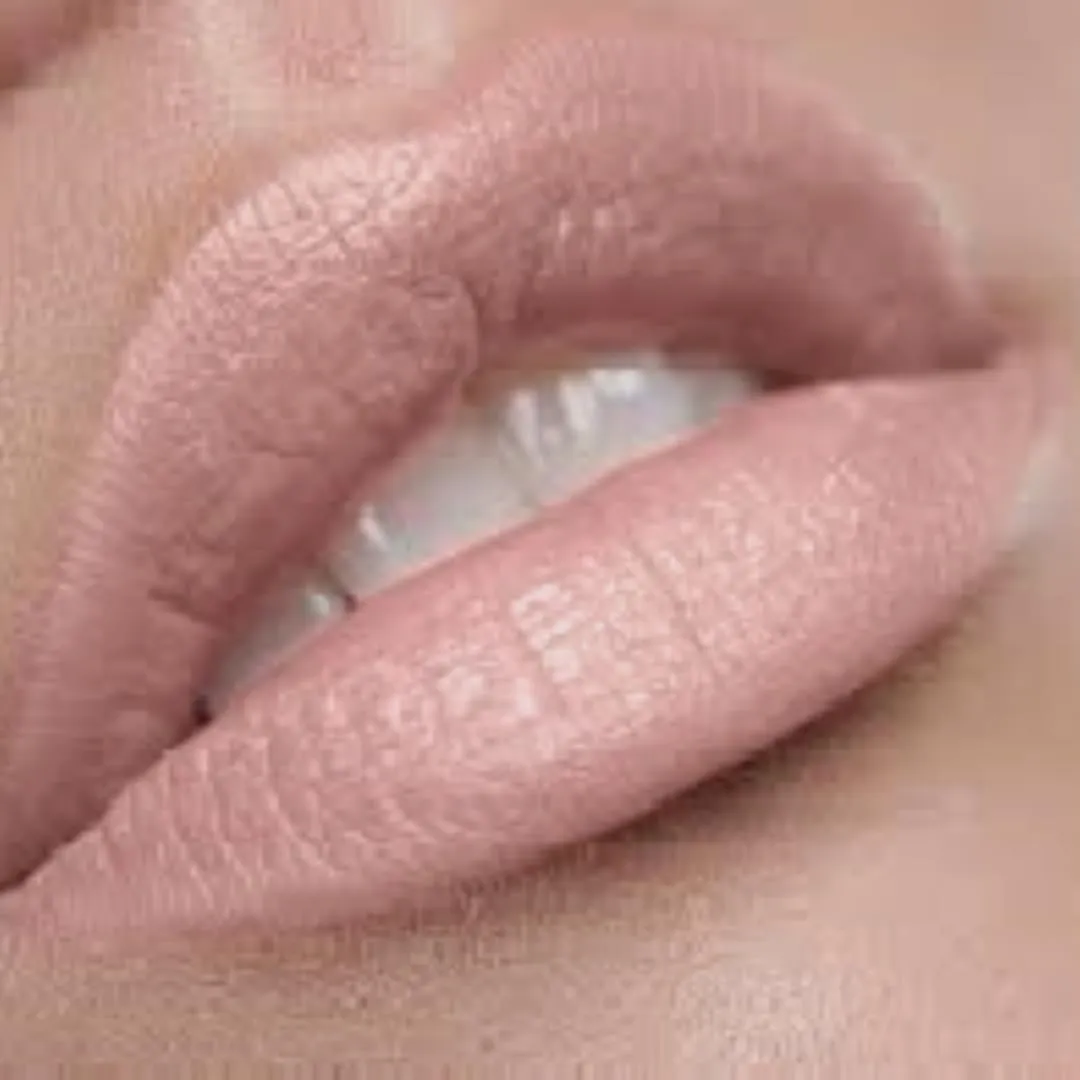 Premium Long Lasting Liquid Matte Lipstick | Light Pale Pink Nude | Everyday Play…