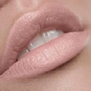 Premium Long Lasting Liquid Matte Lipstick | Light Pale Pink Nude | Everyday Play…