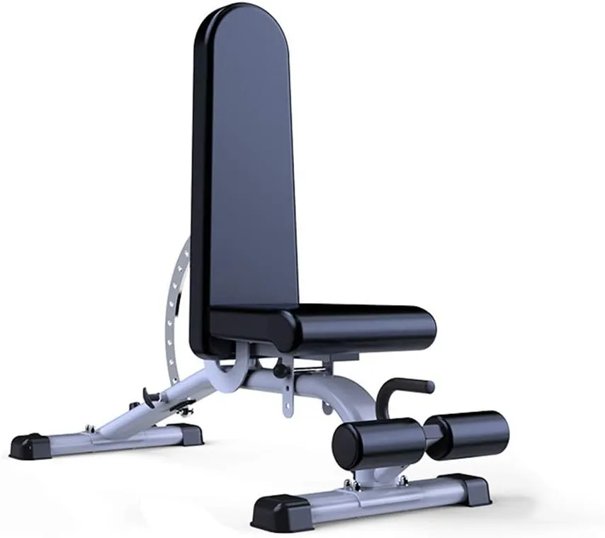 Small Dumbbell Dumbbell Bench, Commercial Dumbbell Bench, Professional Bench Press, Sit-ups Fitness Equipment, Backrest Freely Adjustable by 11 Positions Fitnes,